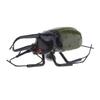 MagiDeal Artificial Lifelike Insects Model Cicada Figurines Home Garden Art Craft Decor DIY Tree Decor Kids Play Toy