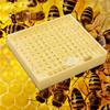 1pc Queen Rearing Box Bee Incubator Beekeeping Tool Plastic Bee King Incubator Free Move Breeding Box Queen Rearing Box Cage