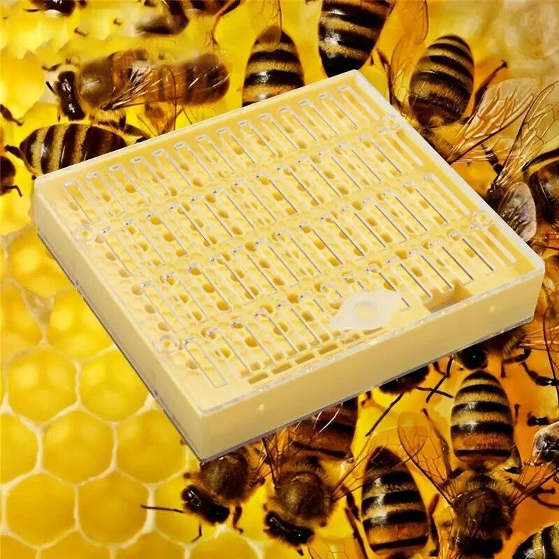 1 pz. Incubatrice per api regine, strumento per apicoltura, in plastica, incubatrice per api regine, scatola per allevamento a movimento libero, gabbia per allevamento api regine