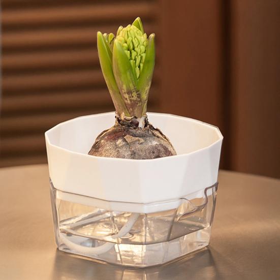 1/6Pcs Flowerpot Automatic Water-Absorbing Cotton Rope Long-Term Water Supply Double-Layer Separation Structure Self Watering Hydroponic Planter