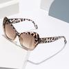 New Cat Eye Sunglasses for Women with Retro Style Eyeglass Beach Travel Outdoor Brand Design Sunshade Glasses Uv400