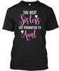 The Best Sisters Get Promoted To Aunt TTshirt Made In the USA Size S To 5XL