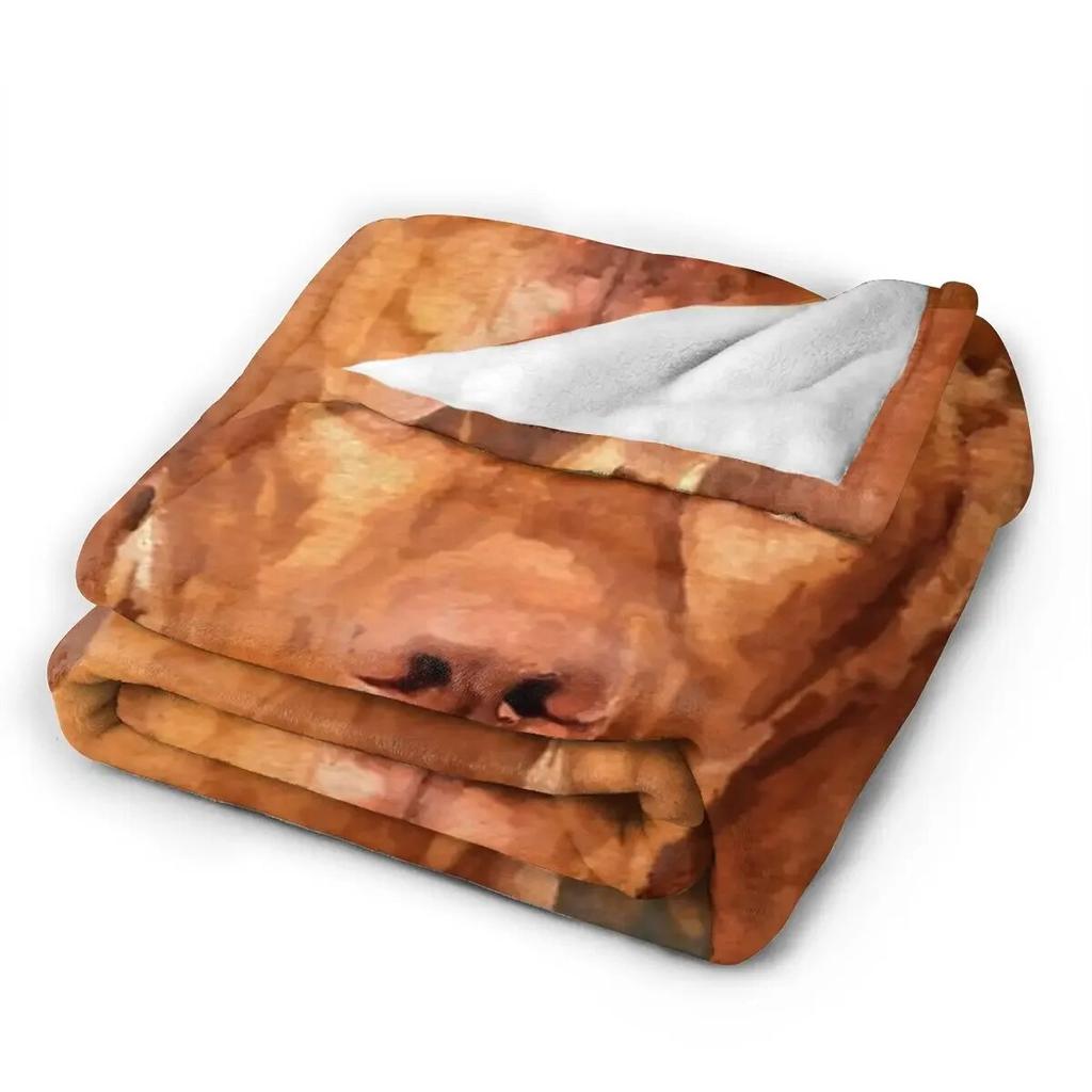 Flannel Throw Blanket Vizsla - Hungarian Pointer Collage Blankets Bedding Warm Plush Blanket for Bed Picnic Travel Home Couch