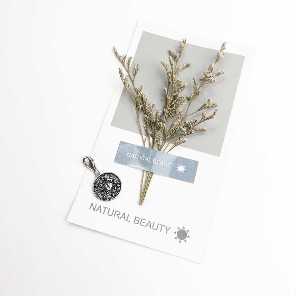 Charm Aries Pendant Taurus Gemini Cancer Leo Virgo Libra Scorpio Sgr Cap Aqu Pisces Zodiac Sign Vintage Gift copper