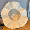 French Small Daisy Large Brim Breathable Straw Hat Women's Summer Seaside Vacation Woven Hat Raffia Sun Hat Tide