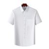 Men's Anti-Wrinkle Easy-Care Business Shirt