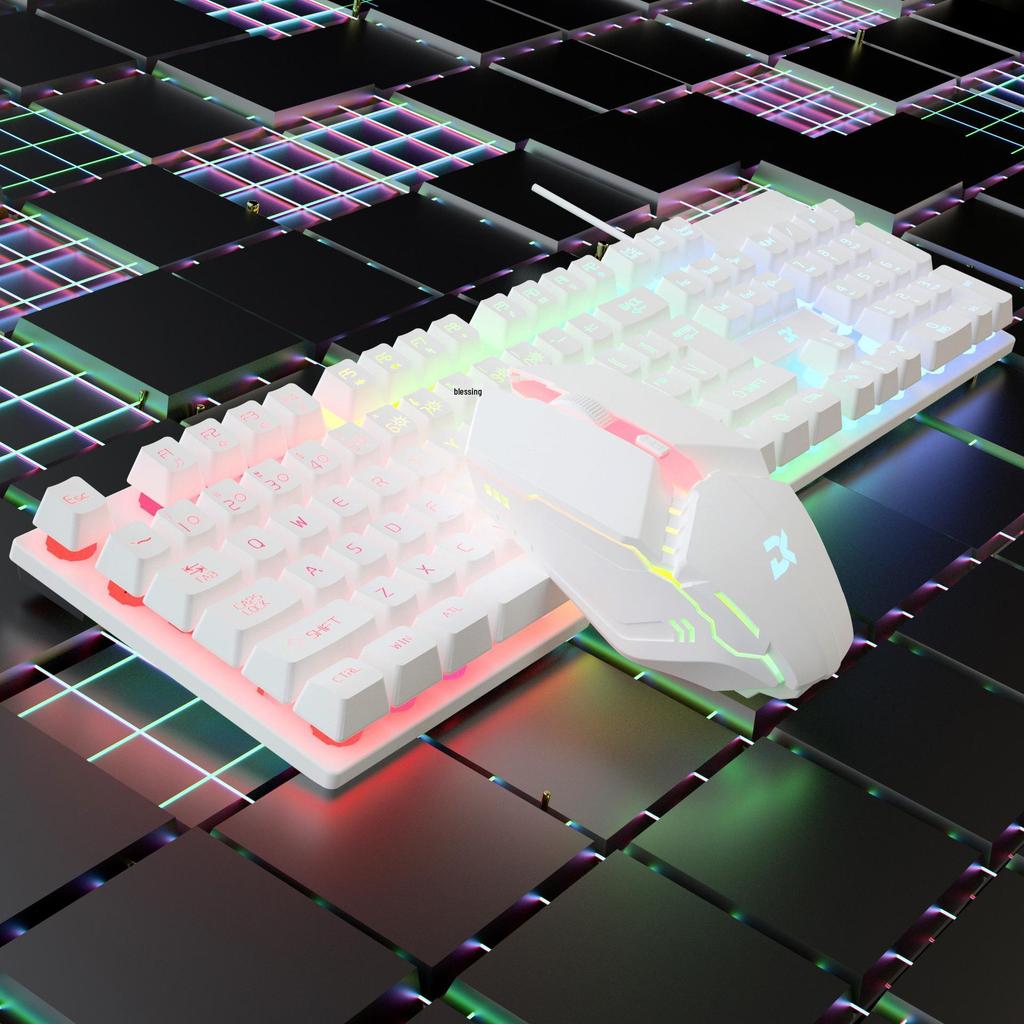 Luminous Wired Keyboard & Mouse Set with Floating Keycaps - USB, Mechanical Feel for Gaming Desktops & Laptops