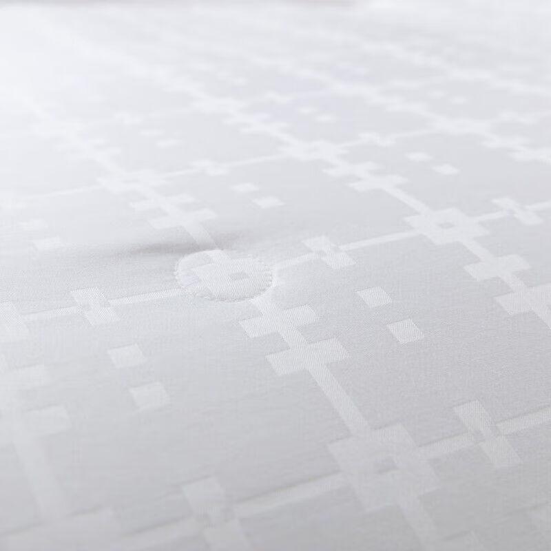 Fang'en Yuexi All-Season Polyester Fiber Quilt