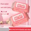 Flushable Family Value Pack: 80 Large Women's Toilet Wet Wipes