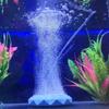 Air Stone Disc Bubble Diffuser Bubbler with Suction Cup & for Valve for Hydroponics Aquarium Fish for Tank Pump Aerator