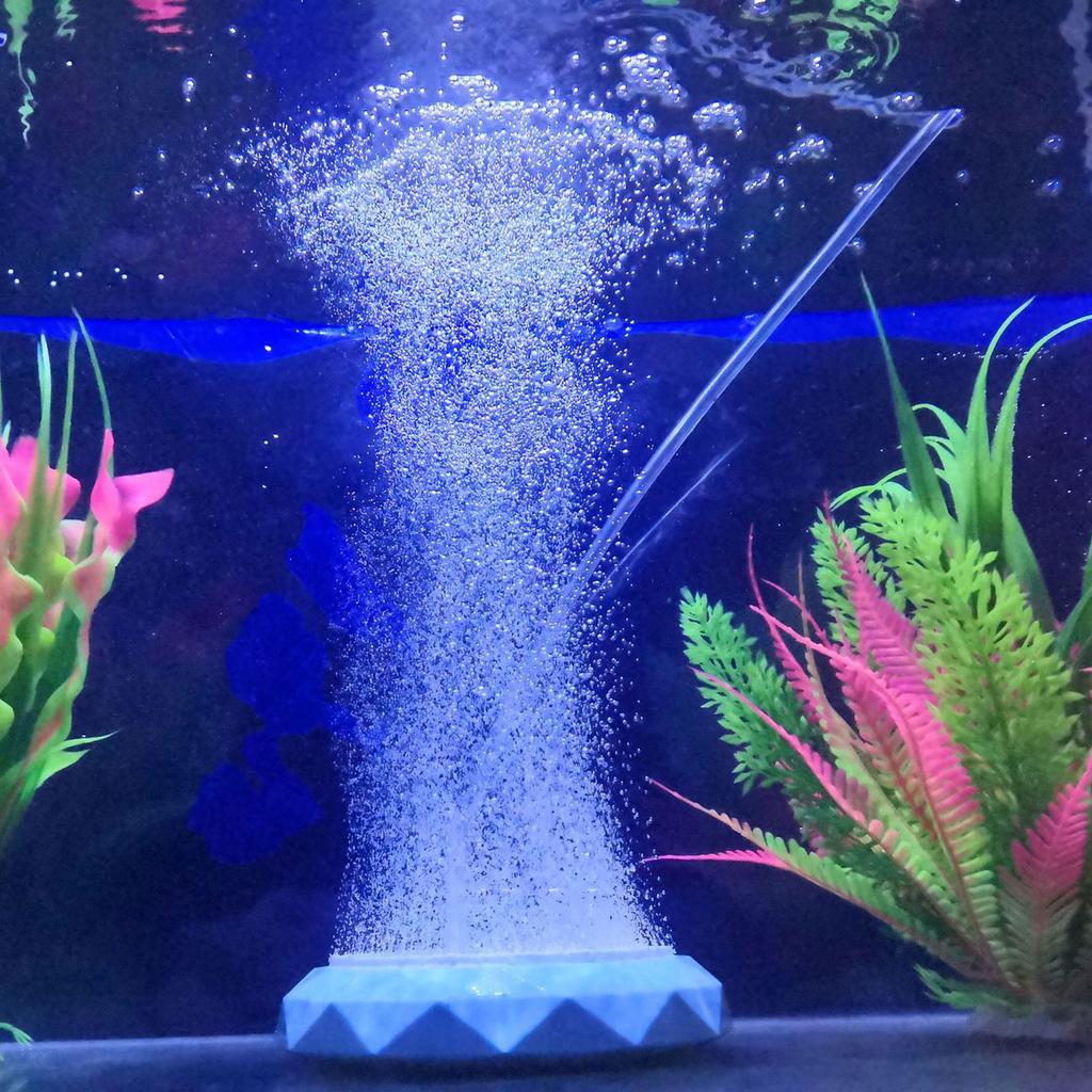 Air Stone Disc Bubble Diffuser Bubbler with Suction Cup & for Valve for Hydroponics Aquarium Fish for Tank Pump Aerator