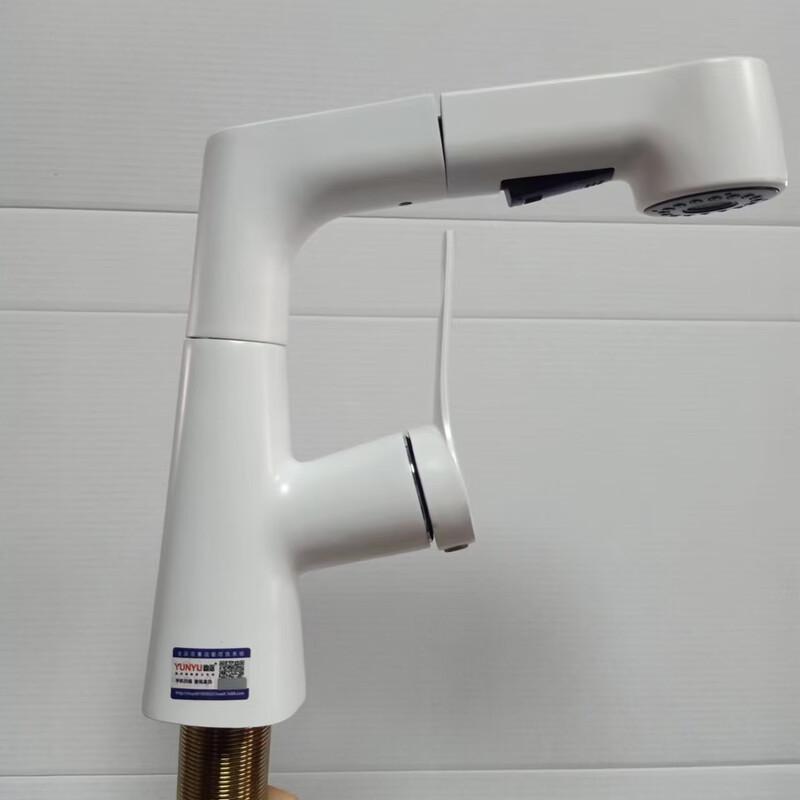 Hibiscus Design Pull-Out Basin Faucet