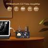 AIYIMA T9 Bluetooth 5.0 100W*2 Röhrenverstärker 2.0 Kanal Vakuumröhre USB DAC Stereo HiFi Heimaudio Digitalverstärker mit RCA/COA/Opt/PC-USB und VU