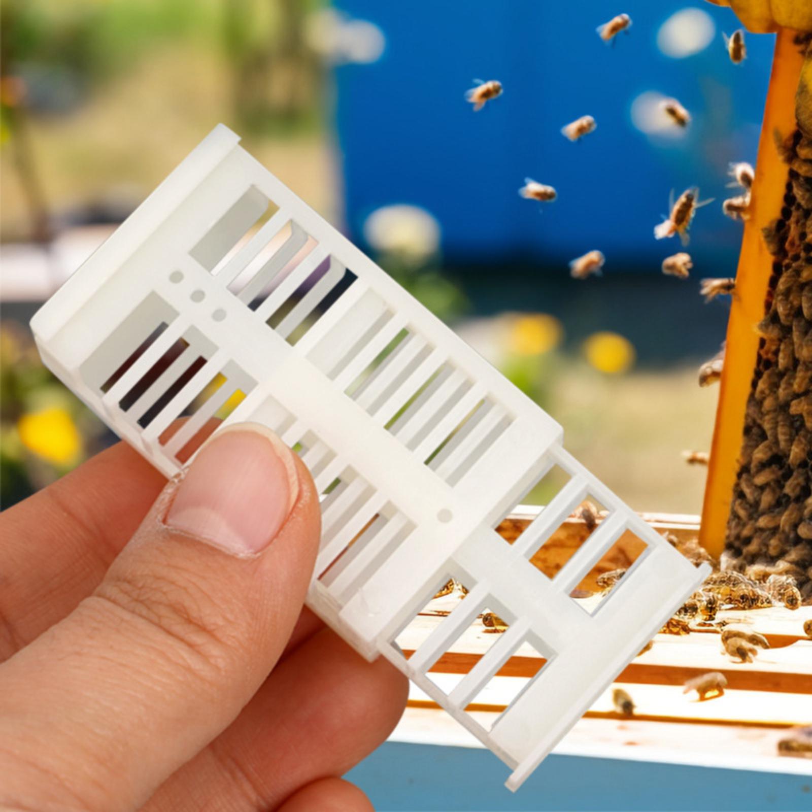 

Beekeeping Utensils, Plastic Multifunctional Cage, Bee Meaning, Bee Universal Cage, Plastic Closed Bee Cage One Size белый