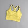All-in-one Sports Bra Collection Breast High-intensity Professional Shock-proof Huddle Running Bra Yoga Fitness Bra Summer Cloth