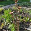 Triple Bluebells Garden Stake, Metal Flower Decoration with Bell, Calla Lilies Yard Art Sculpture, Rustic Handmade Ornament for Outdoor Lawn Patio