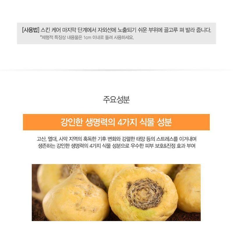 The Saem - Eco Earth Waterproof Sun Stick