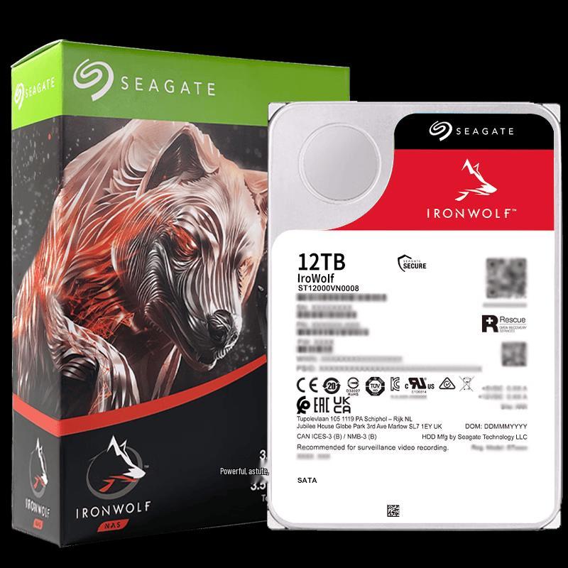 Hikvision Seagate IronWolf 12TB Surveillance Hard Drive CN plug (adapter included)