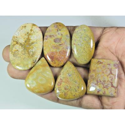 06Pcs Natural Fossil Coral Mix Cabochon Loose Gemstone Lot 268Cts. A-744
