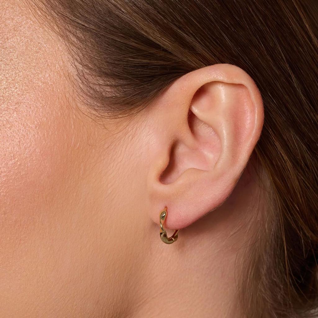 Silver Gold Plated Twisted Hoop Earrings - Kdk6417Y