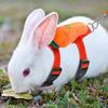Rabbit Harness and Leash Cute Set Adjustable for Small Animals Outdoor Walking
