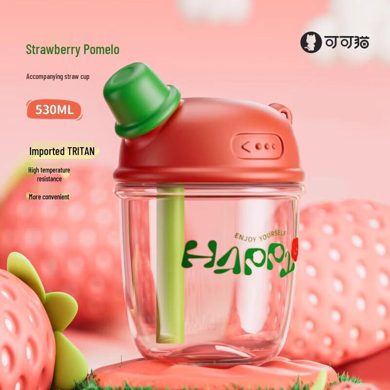 Coco Cat DUDU Portable Glass Straw Cup