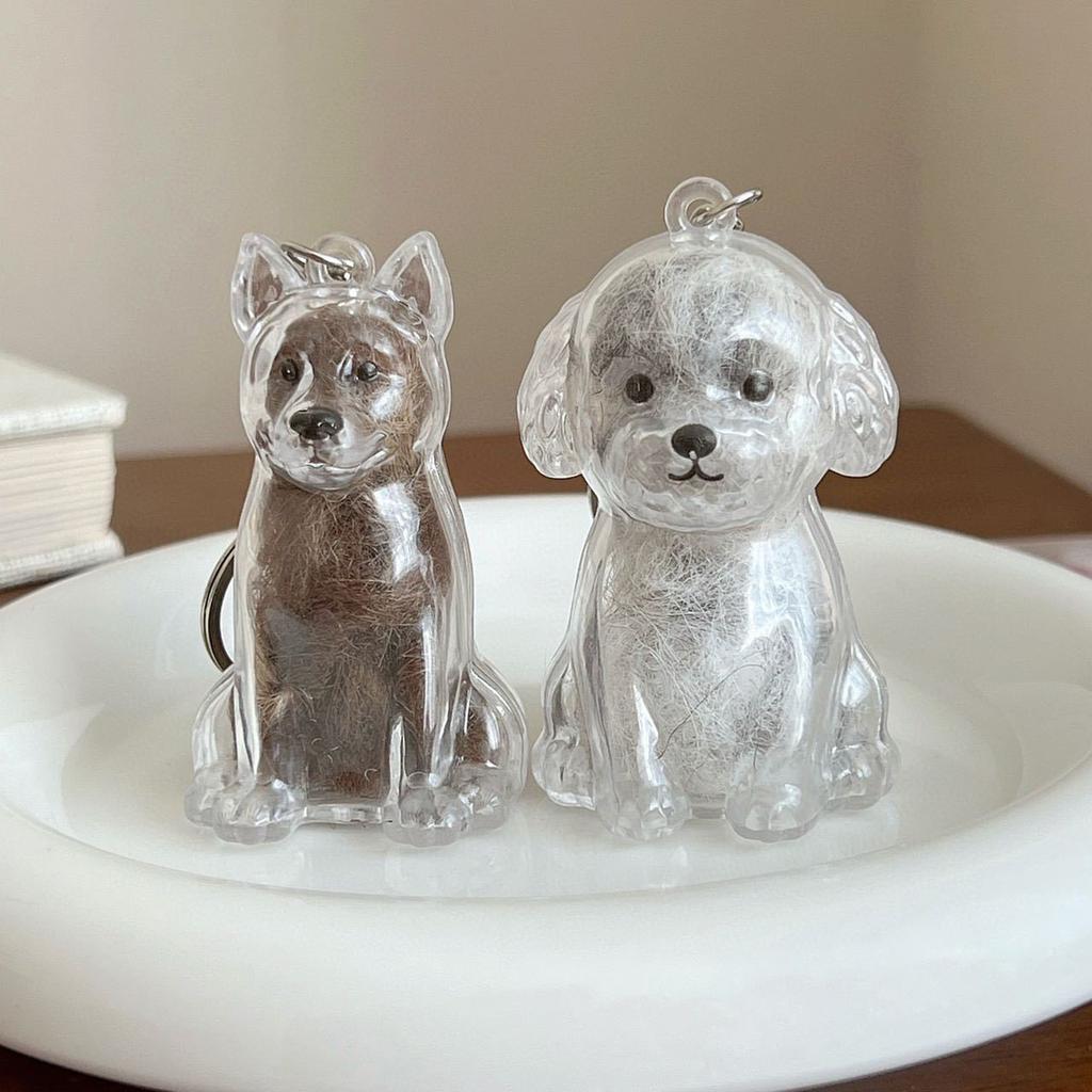 Transparent Pet Memorial Keychain Pet Hair Bottle For Preserving Dog Hair And Ashes In A Leakproof Keepsake Capsule