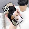 Cute Labrador Puppy Dog Phone Case Cover For iPhone 17 Air 16 15 14 Plus Apple 16 11 12 13 Pro Max Coque