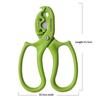 2-in-1 Floral Scissors | Stainless Steel Gardening Shears, Rose Thorn Remover, Flower Branch Pruning Shears for Florists & Flower Arranging - 1pc