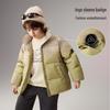 ASK JUNIOR Boys' Gradient Stand Collar Down Jacket