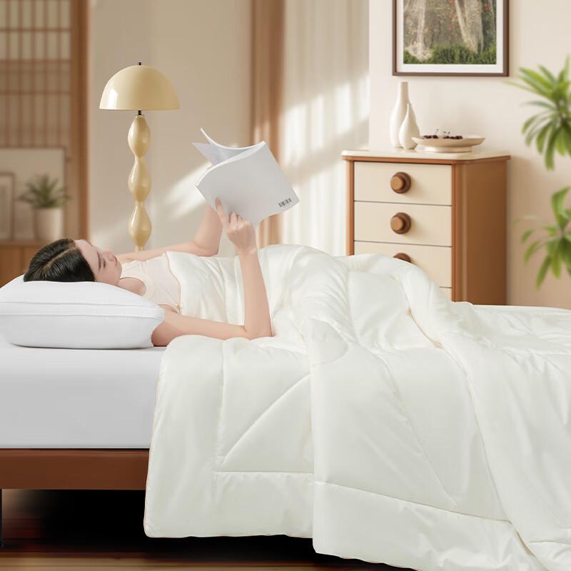 Mercury Home Textiles Snow Velvet 100% Australian Wool Quilt