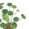 Artificial Plants Lotus Leaf Potting Materials Festival Room Home Decor Household Product Outdoor Pool Aquatic Green PlantBonsai