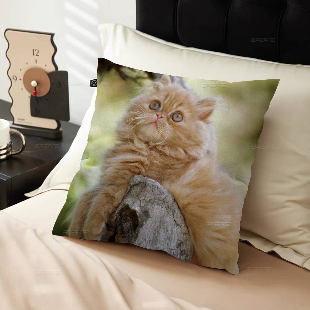 Süßes Haustier Katze Kissenbezug Design Kissenbezug Deko Feiertagsdeko