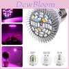 Full Spectrum 28leds Grow Light For Hydroponics With E27 Gu10 E14 Base Ideal For Indoor Gardens
