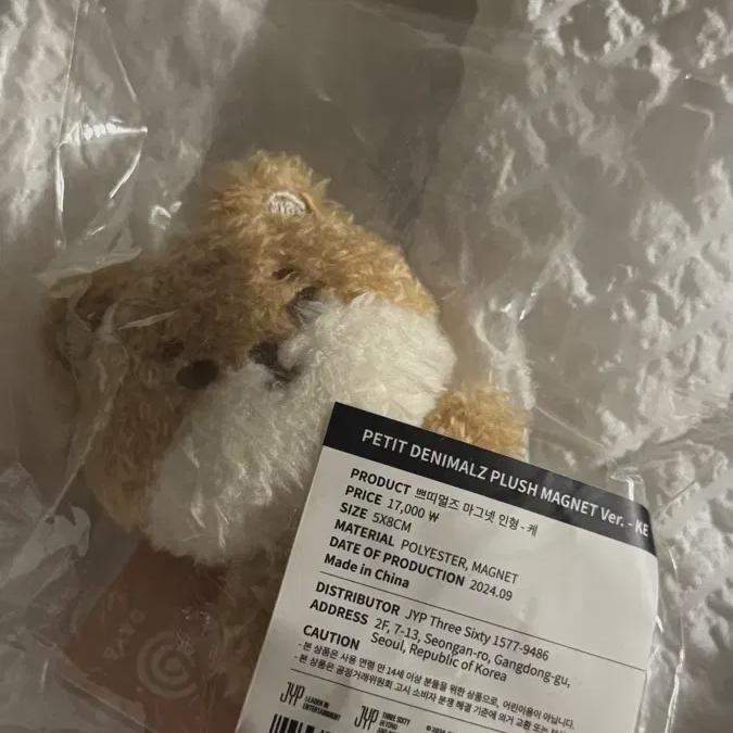 

DAY6 Petitmles Магнит Просто Открыт Не Использован