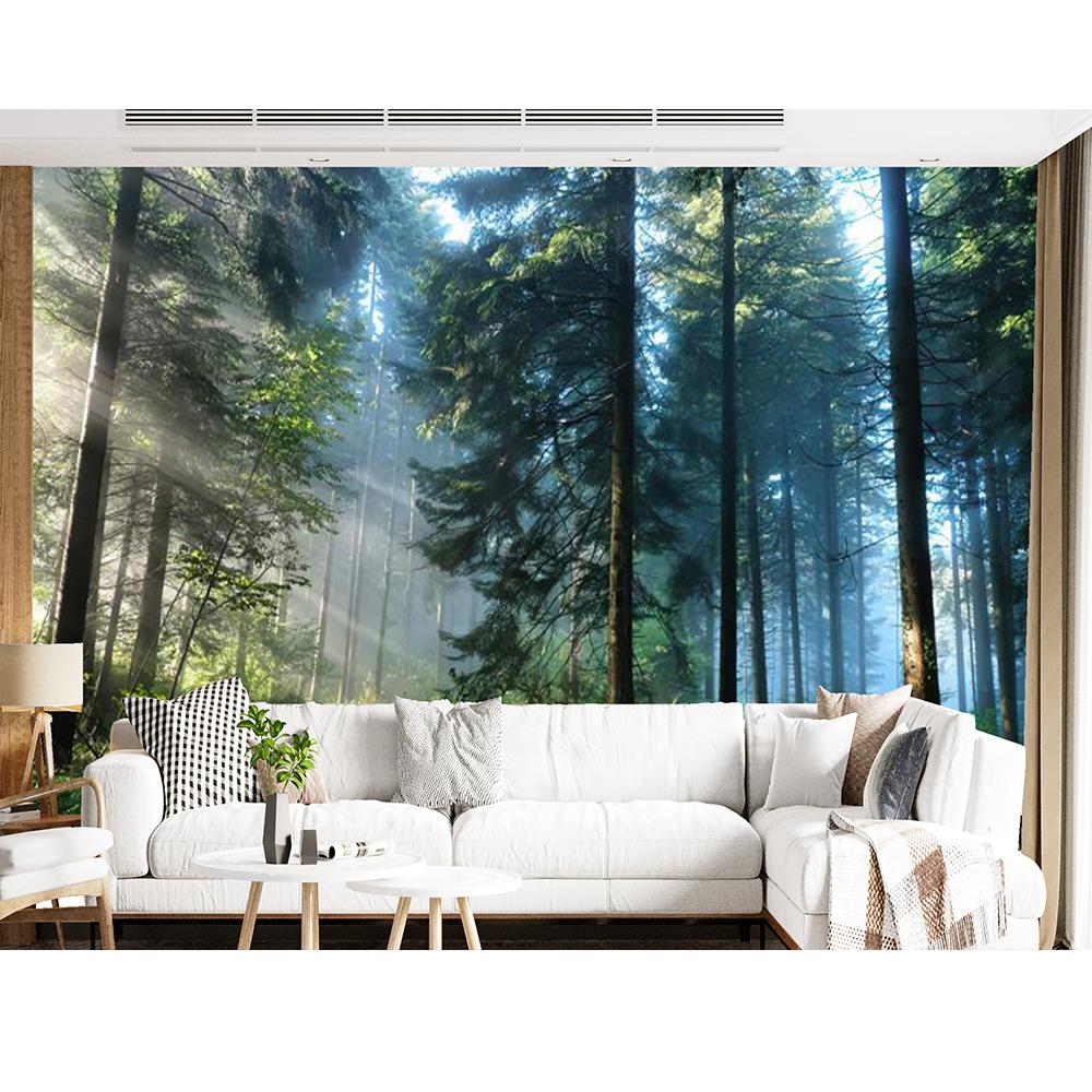 Morning Forest 3D Fototapeta Krajina Tapeta Obývací pokoj Ložnice Fototapeta Home Decor