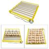 Plastic Egg Incubator Tray Accessories Automatic Egg Turner Duck Quail 220V