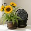 Non-slip Bulb Growing Pots Plant Pot with Saucer, 10 Inch 13 Wide Flowerpot Drainage Flower Saucer Holes, Indoor Outdoor Planter for Tulips