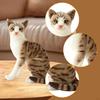 Cat Toy Stuffed Animal Decoration Figures Comfortable Simulation Kitten Lovely for Teens Bedroom