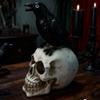 Resin Skull With Crow Gothic Skeleton Head Halloween Tabletop Decor Centerpiece For Home Office Desk Party Gift For Adults