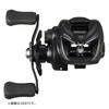 Daiwa 24 Tatara Tw 100xh