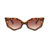 New in  Fashion Cat Eye Sunglasses for Women Small Frame Tortoiseshell Design Live Broadcast Hip Hop Style Sun Glasses
