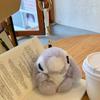 Lovely and Cute Koala Rex Rabbit Fur Cute Doll Plush Cartoon Character Car Keychain Pendant Bag Pendants