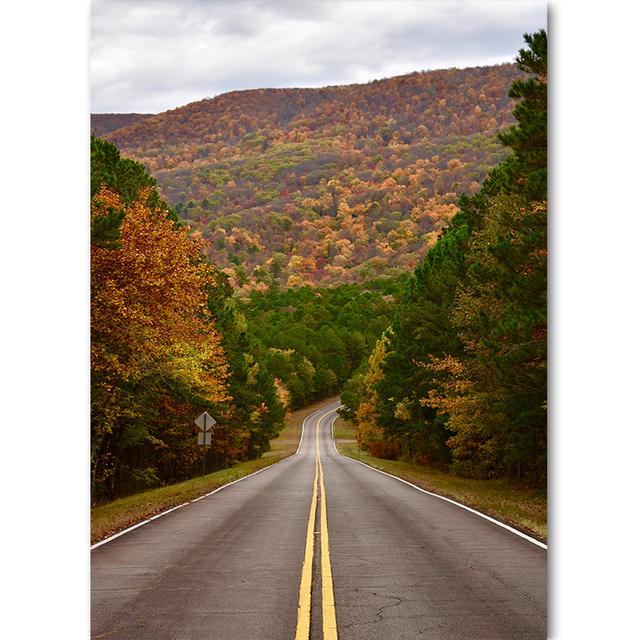 Vertical Board Beautiful Forest Scenery Modern Photo Painting Highway Winding Lines Wall Stickers HD Printing Art Decoration