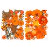Halloween Theme Pressed Flower Kit for Resin Art Natural Real Pressed Orange Flower Leaves for DIY Epoxy Jewelry Bookmark