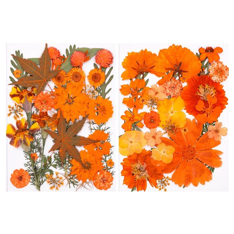 Halloween Theme Pressed Flower Kit for Resin Art Natural Real Pressed Orange Flower Leaves for DIY Epoxy Jewelry Bookmark