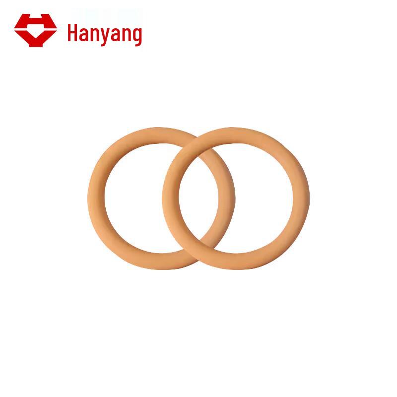 Hanyang HY5270 Actuator Seal Gasket F022027015