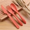 Wheat Straw Travel Utensils With Case Camping Spoon Fork Camping Utensil Set  Picnic Hiking