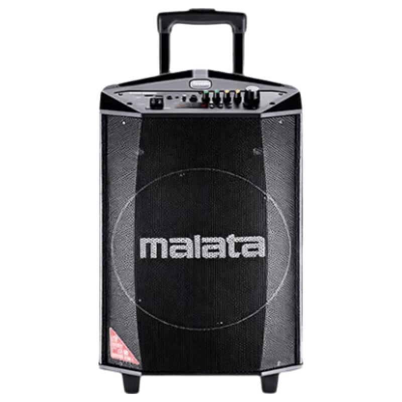 Malata L12 Professional Portable Bluetooth Speaker with Dual Wireless Microphones (CN Version)