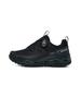 Eider Quantum Potential (Z1)_Black